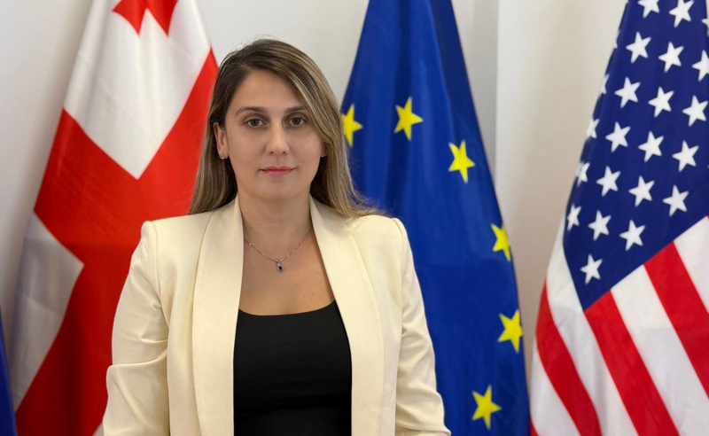 ანა კობახიძე - თუ ჩემს შემთხვევაში ამას ბედავენ, ალბათ გასაგებია რას უშვრებიან სხვებსაც