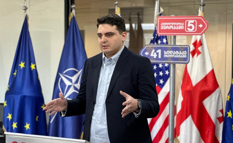 „გამჭვირვალობის რეესტრში დარეგისტრირებული ორგანიზაციების უმრავლესობა დაკავშირებულია “ოცნებასთან“- ლევან სანიკიძე