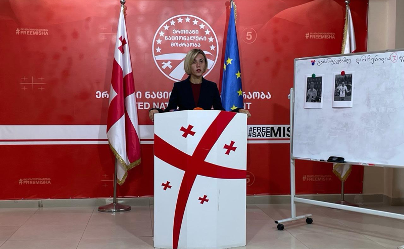 ზუგდიდის საკრებულოს წევრები დევნილებს პირადობის მოწმობებში  200-დან 500 ლარამდე სთავაზობენ - ანი წითლიძე