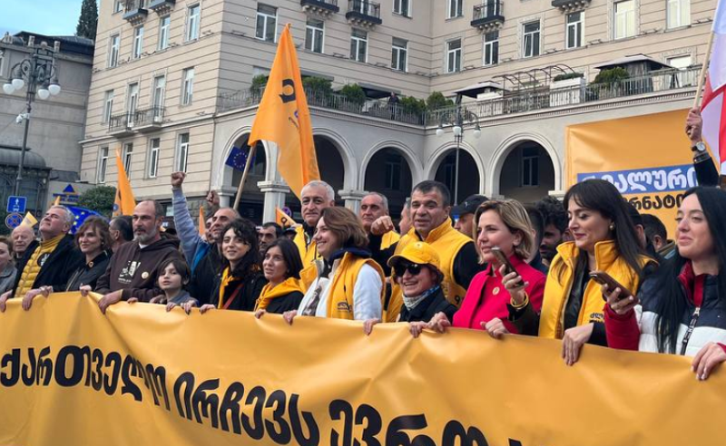 ერთ კვირაში ბიძინა ივანიშვილის მართვის ბერკეტი აღარ ექნება - დოლიძე
