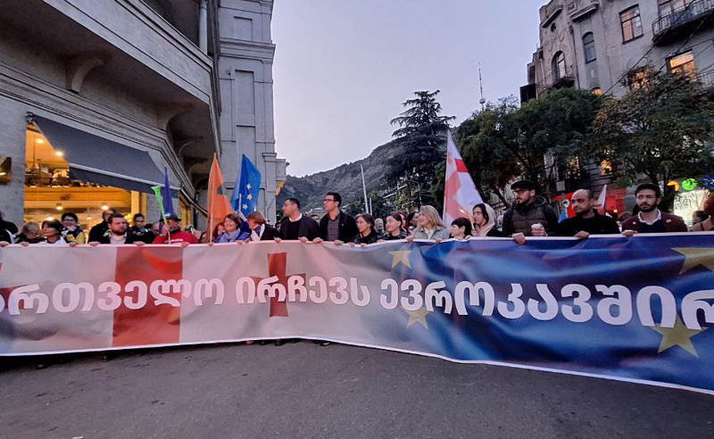 "ჩემოდნების ჩალაგების დროა" - ცნობილი მხატვარი "ქართულ ოცნებას"