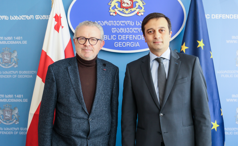 საქართველოს სახალხო დამცველი ეუთოს დელეგაციას შეხვდა