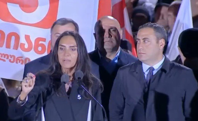 ივანიშვილის ოცნება, რომ საქართველო იყოს ქართველი ხალხის გარეშე, რუსეთის ნაწილი, ვერასოდეს ახდება - ჯაფარიძე