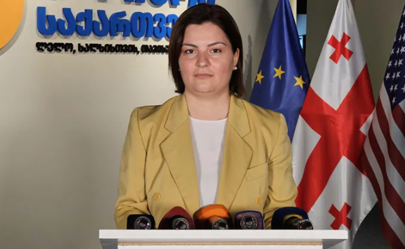 პირადად გომელაური, როგორც შს მინისტრი იქნება პასუხისმგებელი, რომ პოლიცია არ რეაგირებს დარღვევებზე - ნაცვლიშვილი