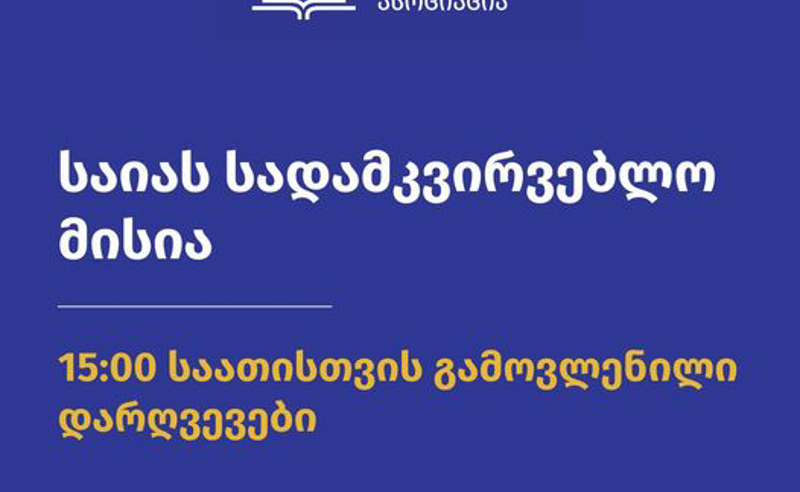  საია - ჩვენმა დამკვირვებლებმა საუბნოში - 23, საოლქოში კი 11 საჩივარი შეიტანეს