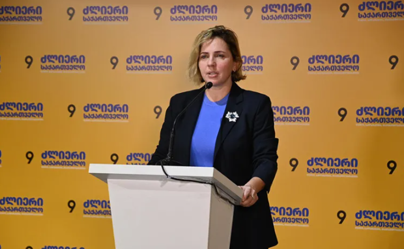 ანა დოლიძე ხმების დაცვის გეგმაზე საუბრობს 