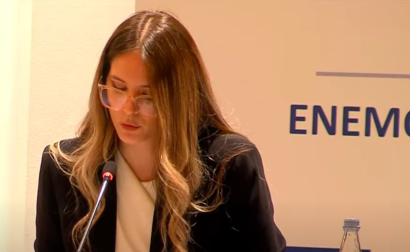 პირადობების ჩამორთმევა და ზეწოლა საჯარო მოხელეებზე - საერთაშორისო სადამკვირვებლო მისია საარჩევნო პროცესს აფასებს