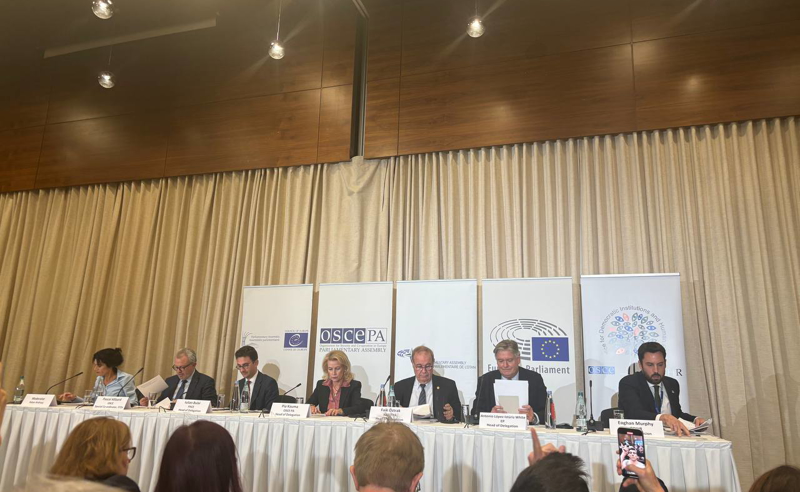 ხმის ფარულობის დარღვევა, ბიულეტენების ჩაყრა, მოსყიდვა, დაშინება, ზეწოლა - საერთაშორისო მისიების შეფასება