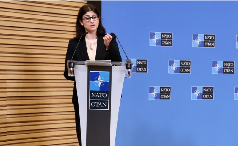 არჩევნებთან დაკავშირებული დარღვევების შესახებ ცნობები საფუძვლიანად უნდა იყოს გამოძიებული - ნატოს პრესსპიკერი