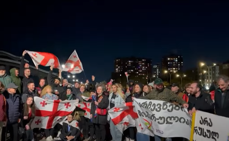 "გაგვძარცვეს" - ქართველმა ემიგრანტებმა ნიუ-იორკში აქცია გამართეს