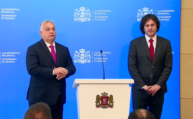 იძლევა თუ არა გარანტიას, რომ მისი მხარდაჭერა საქართველოს EU-ს წევრობისთვის საკმარისი იქნება? - ორბანის პასუხი