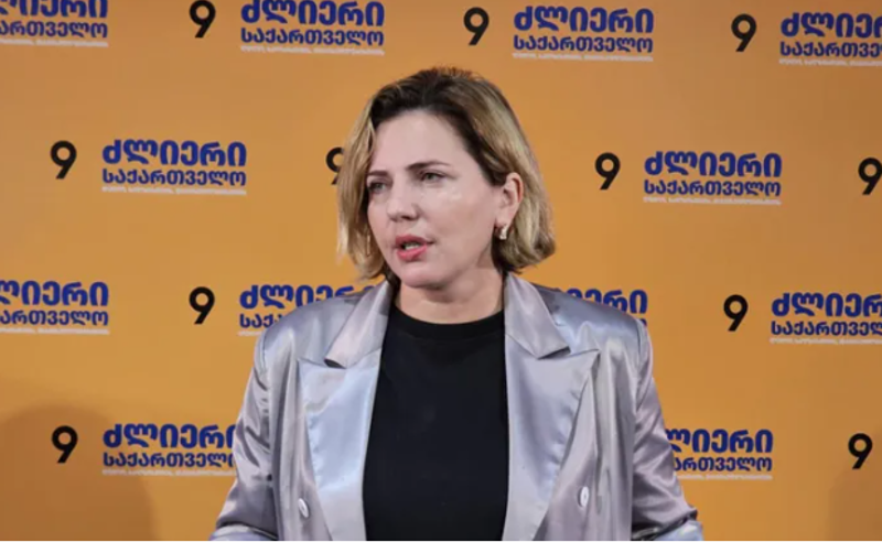 ანა დოლიძე: მტკიცებულებების მოგროვების პროცესი დასრულდა,  რამდენიმე სქემის სურათი  გვაქვს