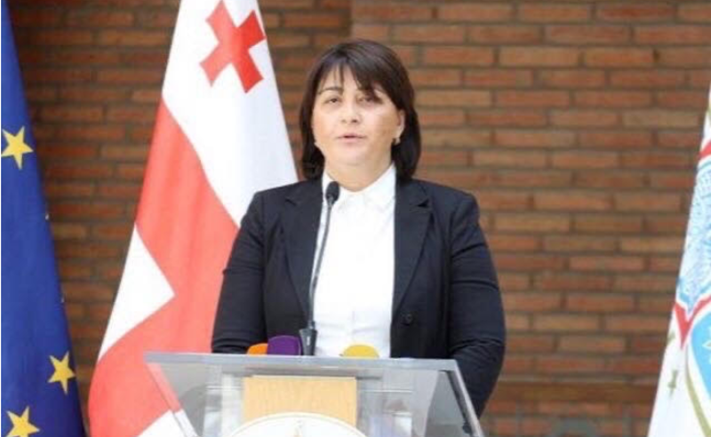 "ოცნების" დამკვირვებლები, რეალურად, მისული ამომრჩევლის არჩევანს აკონტროლებდნენ - ლილე ლიპარტელიანი