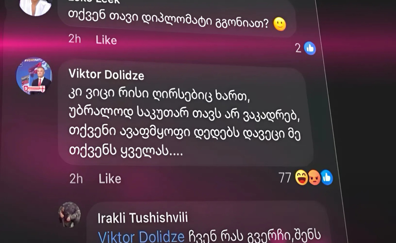 დიპლომატის არადიპლომატიური პასუხი პრეზიდენტის და მოქალაქეების კრიტიკაზე