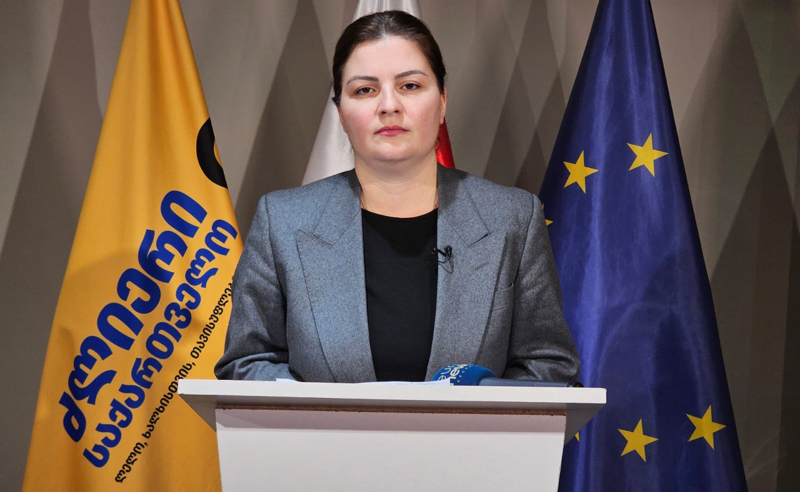 ხელისუფლება სასამართლოს და ცესკოს დანაშაულებრივი მონაწილეობით მალავს სიებს - ნაცვლიშვილი