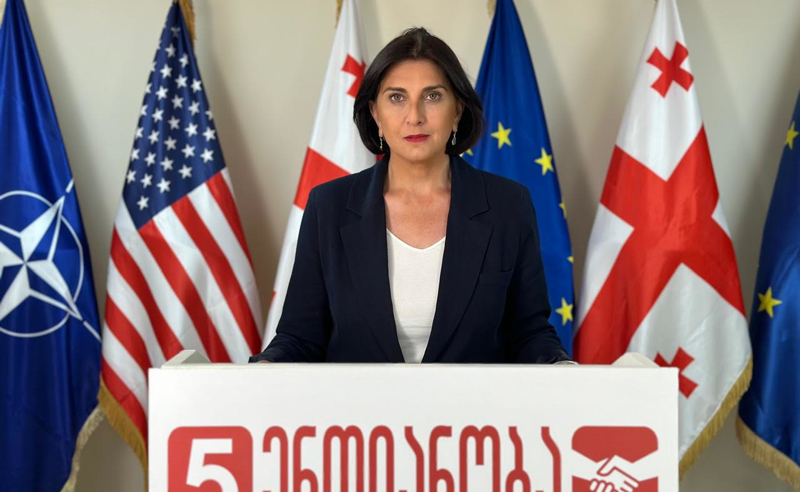 ფრონტის ხაზი დღეს სააპელაციო სასამართლოზე გადის - თამარ კორძაია 