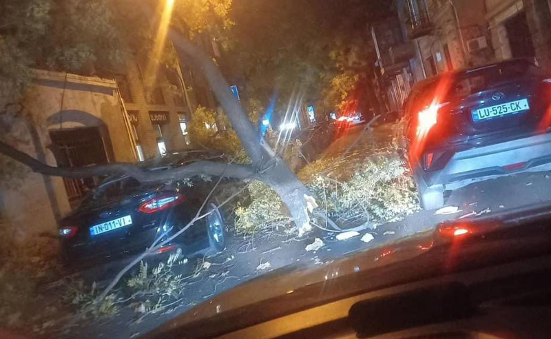 ძლიერმა ქარმა თბილისში პრობლემები შექმნა - პლეხანოვზე ხე გადატყდა და მანქანას დაეცა