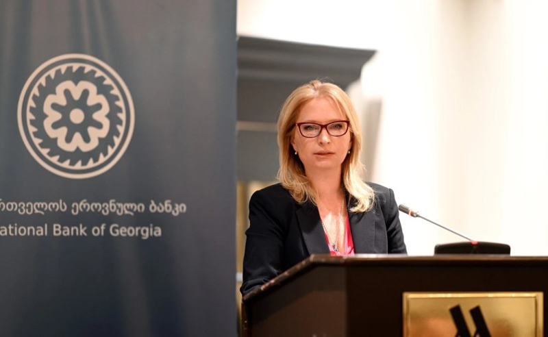 რომ არ გაგვეკეთებინა ეს ინტერვენცია, მოხდებოდა ლარის მყისიერი გაუფასურება - თურნავა