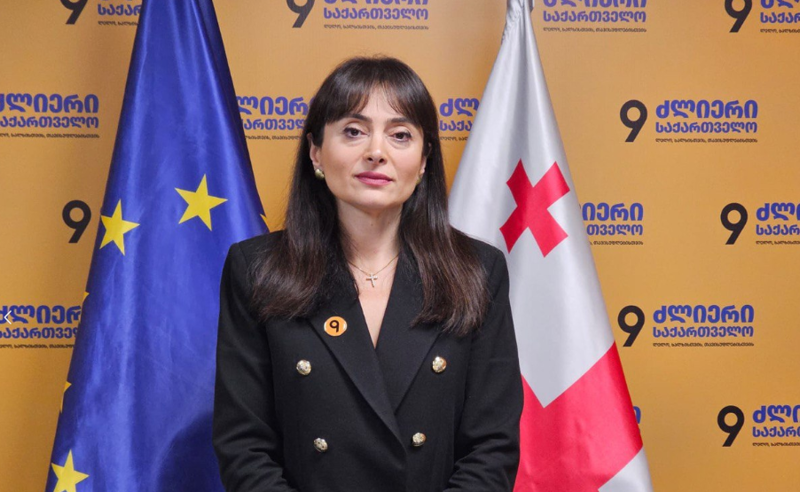 რატომ დუმხართ აფხაზეთში მიმდინარე რუსული ეკონომიკური ანექსიის საპასუხოდ? - ლანა გალდავა საქართველოს ხელისუფლებას