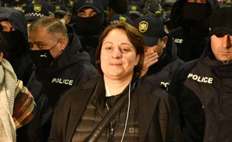 რაც არ უნდა გაწმინდონ, მაინც მოვალთ, ეს ქვეყანა არის ჩვენი - ელენე ხოშტარია 