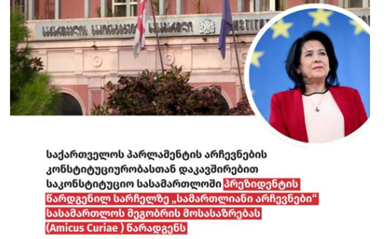ISFED პრეზიდენტის სარჩელზე სასამართლოს მეგობრის მოსაზრებას წარადგენს