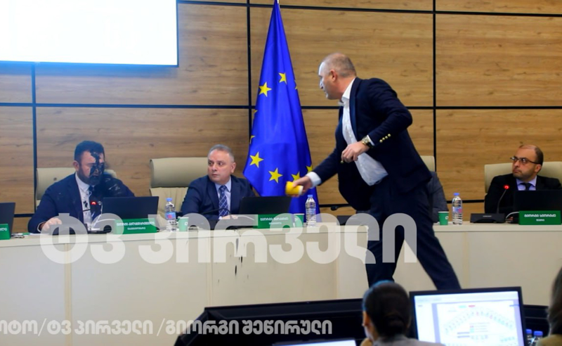 კალანდარიშვილისთვის შავი საღებავის შესხმის გამო, სასამართლომ დავით კირთაძე დააჯარიმა 