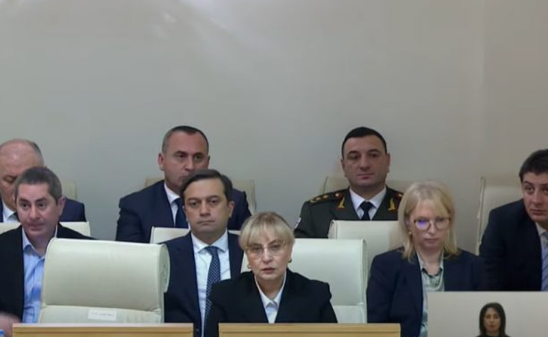 ალბათ კონსტიტიციისა და რეგლამენტის დარღვევას ამონიტორინგებს ადგილზე - ქურდოვანიძე ომბუდსმენზე