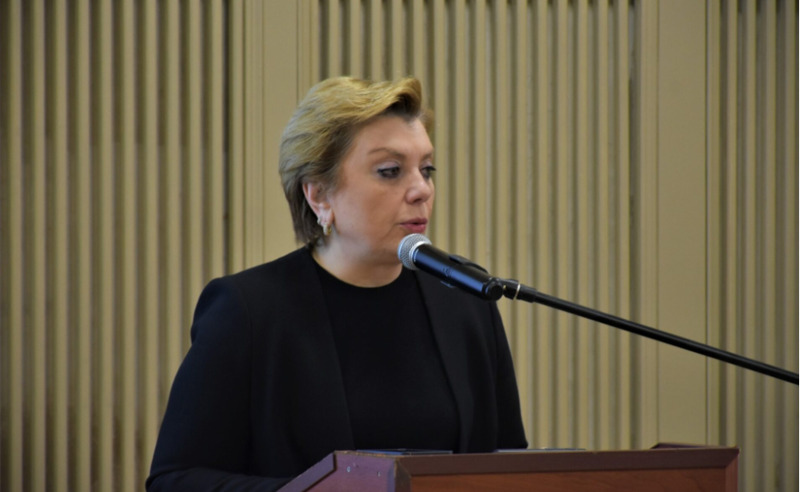 მეტს ვერაფერს გეტყვით, ხელოვნების ისტორიის სპეციალისტი არ ვარ, კულტურის მინისტრი ვარ - რუხაძე გელათის რეაბილიტაციაზე