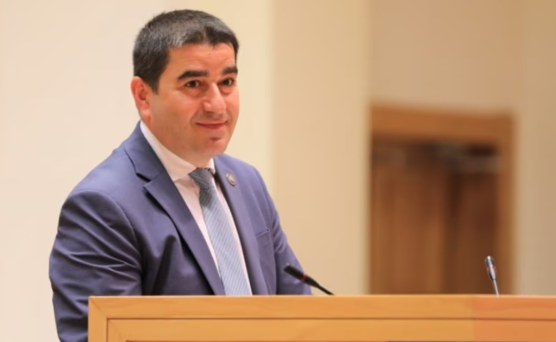 პაპუაშვილის ანტიევროპული განცხადება