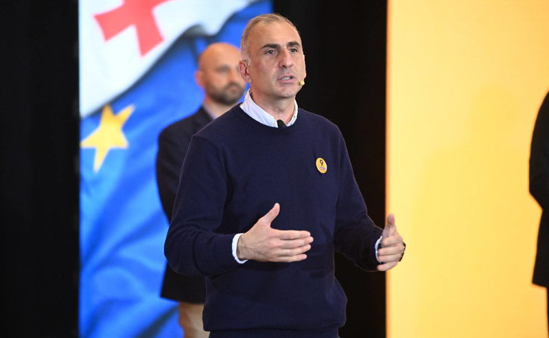 პრეზიდენტთან მივედით, რადგან ეროვნული წინააღმდეგობა კოორდინირებულად განვაგრძოთ - ელისაშვილი