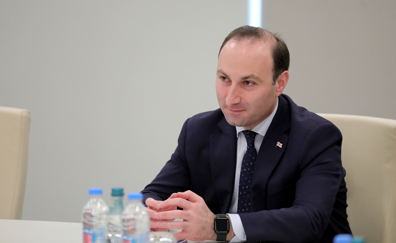 ოხანაშვილი ირწმუნება, რომ პრემიერის დანიშვნას სალომე ზურაბიშვილის ხელმოწერა არ სჭირდება 