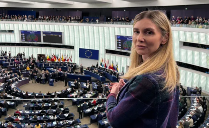რეზოლუციაში სააკაშვილის შეწყალებაზე არის მოწოდება - ბოკუჩავა