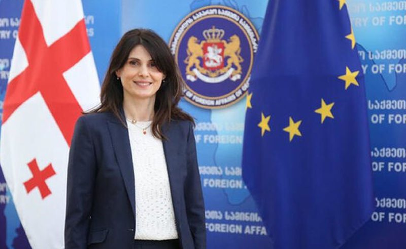 ლიეტუვაში საქართველოს ელჩი, სალომე შაფაქიძე გადადგა