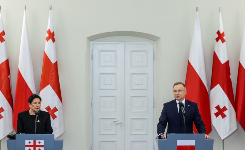 მტკივნეული დარტყმა და რადიკალური ნაბიჯია, რომელიც რუსეთის ინტერესებში შედის - დუდა "ოცნების" გადაწყვეტილებაზე