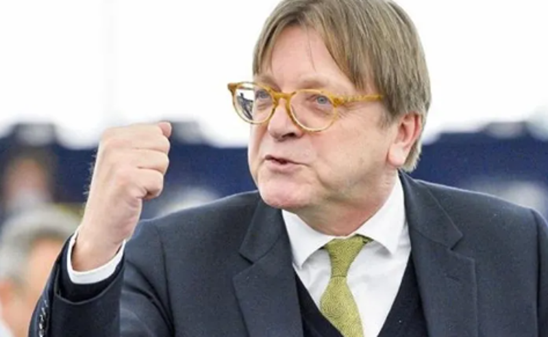 EU-მ დაუყოვნებლივ უნდა დაუწესოს სანქციები მათ, ვინ პასუხისმგებლები არიან საქართველოში ძალადობაზე - ევროპარლამენტარი