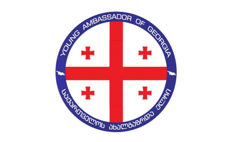 საქართველოს ახალგაზრდა ელჩები: ვაპროტესტებთ ყველა იმ გადაწყვეტილებას, რომელიც ცვლის ჩვენი ქვეყნის პროევროპულ კურსს
