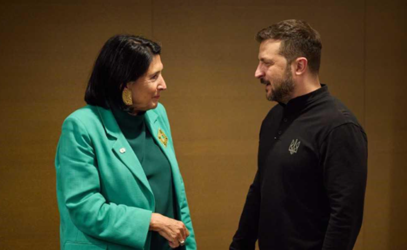 "უკეთესად ვერც ვიტყოდი, მადლობა ვოლოდიმირ'' - პრეზიდენტი
