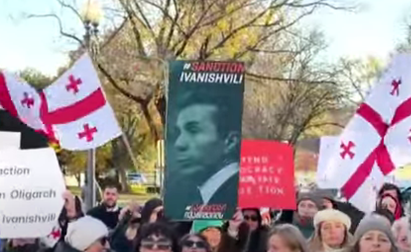 ვაშინგტონში ემიგრანტების საპროტესტო აქცია გაიმართა