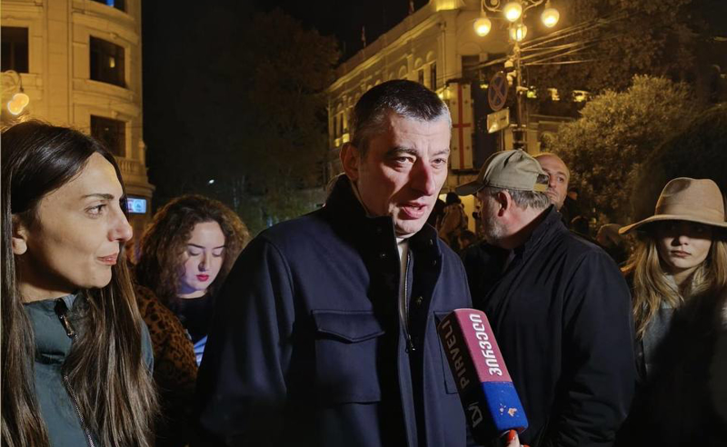 შიგნიდან ხოცავენ უკვე ერთმანეთს, ფიზიკურ ცემა-ტყეპაზე არიან გადასულნი - გახარია “ოცნებაზე“