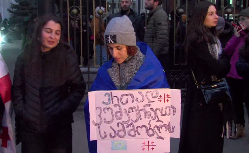 “ერთად ვუმკურნალოთ სამშობლოს“ - სამედიცინო უნივერსიტეტთან ექიმების აქცია მიმდინარეობს