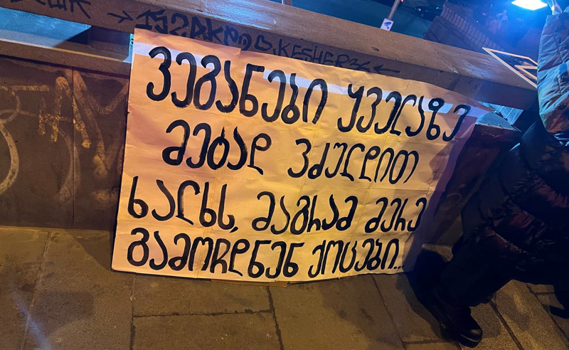 ვეგანები მარშისთვის ემზადებიან 