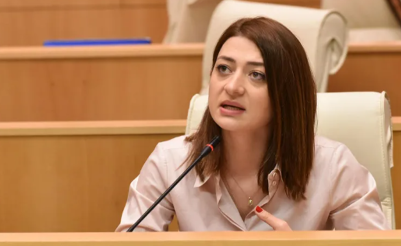ქვეყნის შიგნიდან და გარედან უწყვეტი წნეხი ივანიშვილს აიძულებს, პოლიტიკურ შეთანხმებას დათანხმდეს - ბუჩუკური