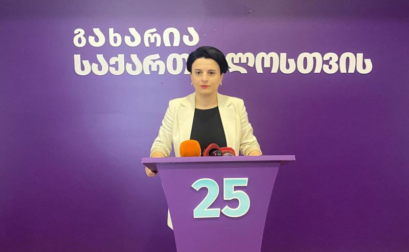 ოდირის დასკვნით დაადასტურა, რომ ქვეყანაში არც დამოუკიდებელი ინსტიტუტებია და არც სამართლებრივი მექანიზმები - მეზვრიშვილი
