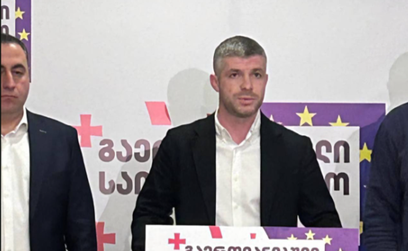 რუსული რეჟიმის ძალადობას მხოლოდ პრეზიდენტის ინსტიტუტი გადაურჩა, მხარდაჭერას ვუცხადებთ მას - კუპრაძე