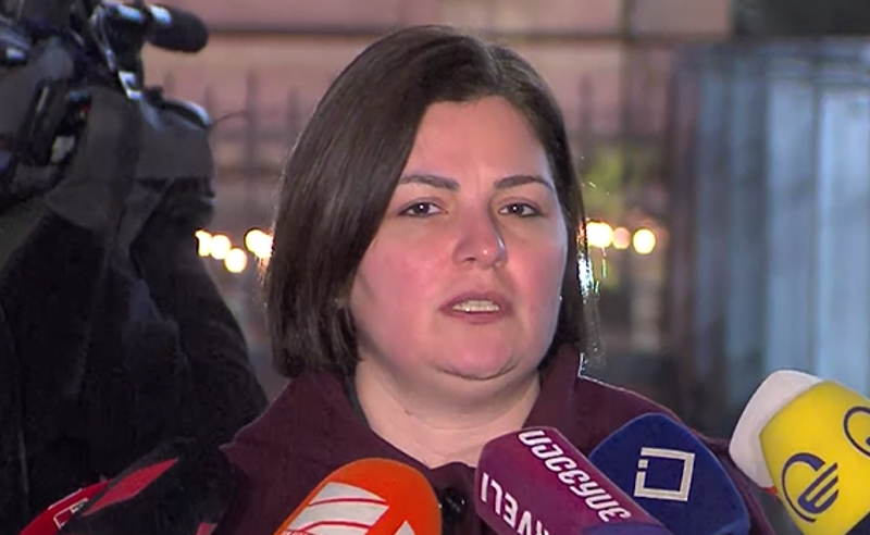 ერთმანეთში ვიმსჯელეთ, როგორ უნდა ჩატარდეს ახალი არჩევნები - ნაცვლიშვილი