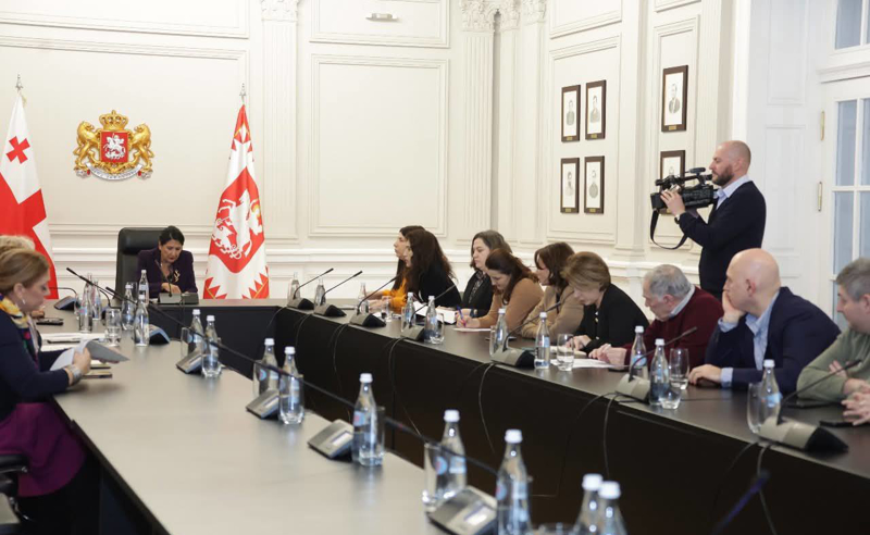 “მოსაზრებების ძირითადი ჩარჩო მზად არის“ - პრეზიდენტთან ოპოზიციის და მესამე სექტორის წარმომადგენლების შეხვედრა დასრულდა