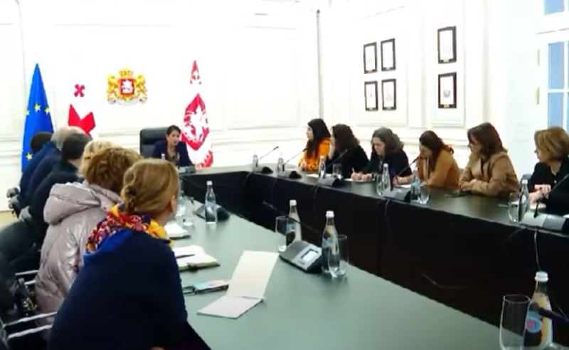 როგორ უნდა აიძულოს ივანიშვილი ახალ არჩევნებს დათანხმდეს - რა გეგმა აქვს სალომე ზურაბიშვილს