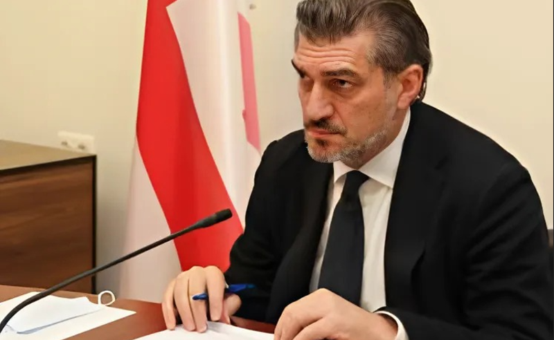 რეპრესიული, სადამსჯელო და არადემოკრატიული - მესამე სექტორი ყაველაშვილის ხელმოწერილ კანონებზე