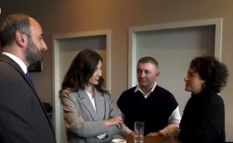 ქვეყანაში შექმნილი პოლიტიკური კრიზისი და "ოცნების" რეპრესიები - EU-ს დელეგაცია მესამე სექტორს ხვდება 