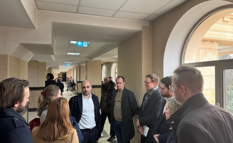 "ადამიანების მიზანმიმართული დევნა, აზიანებს დემოკრატიას" - გერმანიის საელჩო